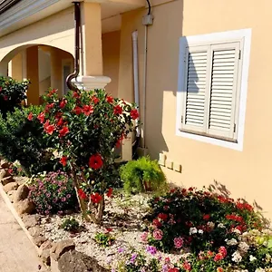 Casa Dolce Hibiscus Apartment Olbia